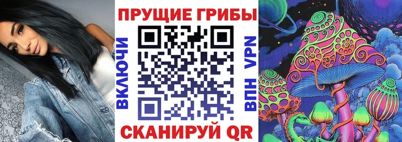 ОМГ ОМГ ССЫЛКА  Рошаль  Галлюциногенные грибы мухоморы 