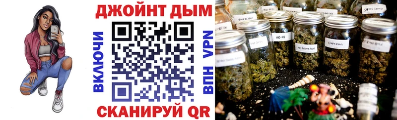 Бошки марихуана сатива  Рошаль 